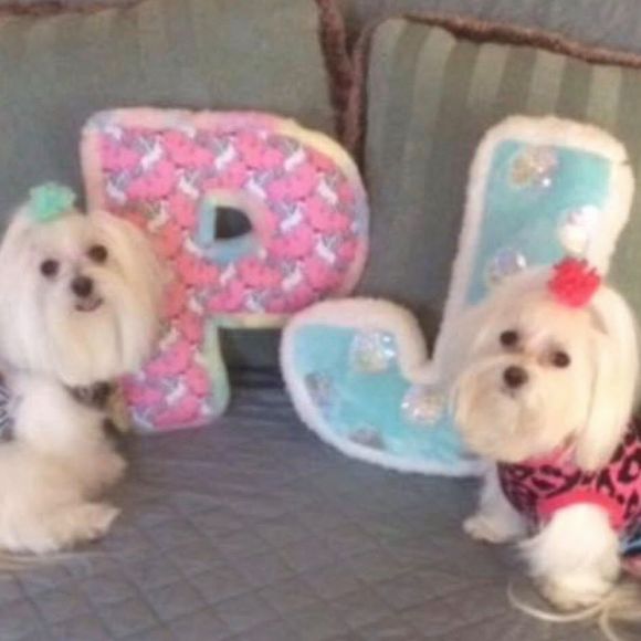 phoebe1josie2
